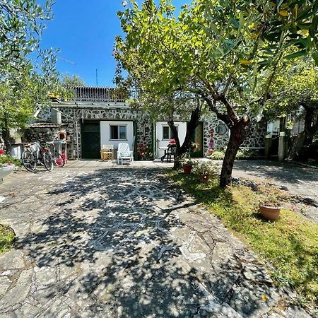 Rosy Apartment - Levanto, 5 Terre Экстерьер фото