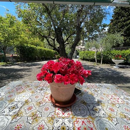 Rosy Apartment - Levanto, 5 Terre Экстерьер фото