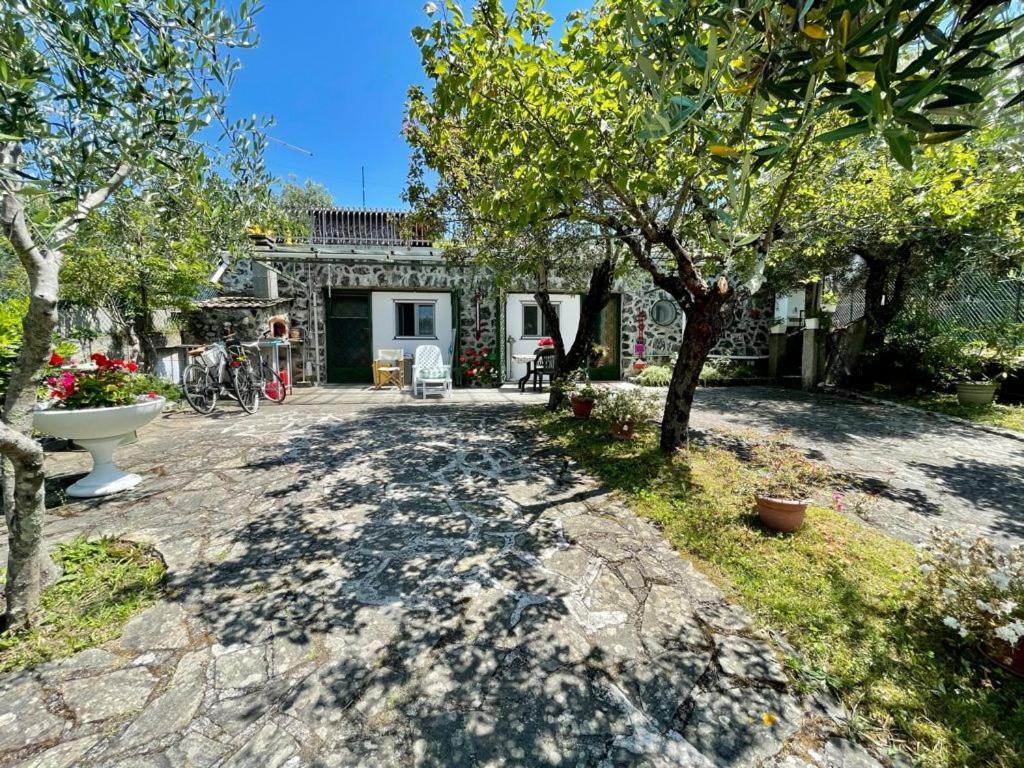 Rosy Apartment - Levanto, 5 Terre Экстерьер фото