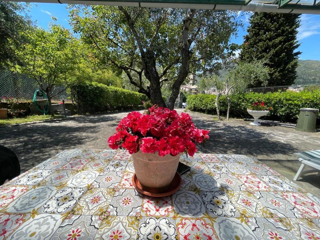 Rosy Apartment - Levanto, 5 Terre Экстерьер фото