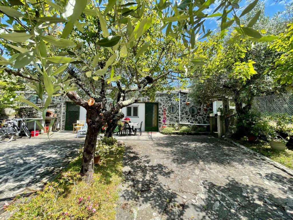 Rosy Apartment - Levanto, 5 Terre Экстерьер фото
