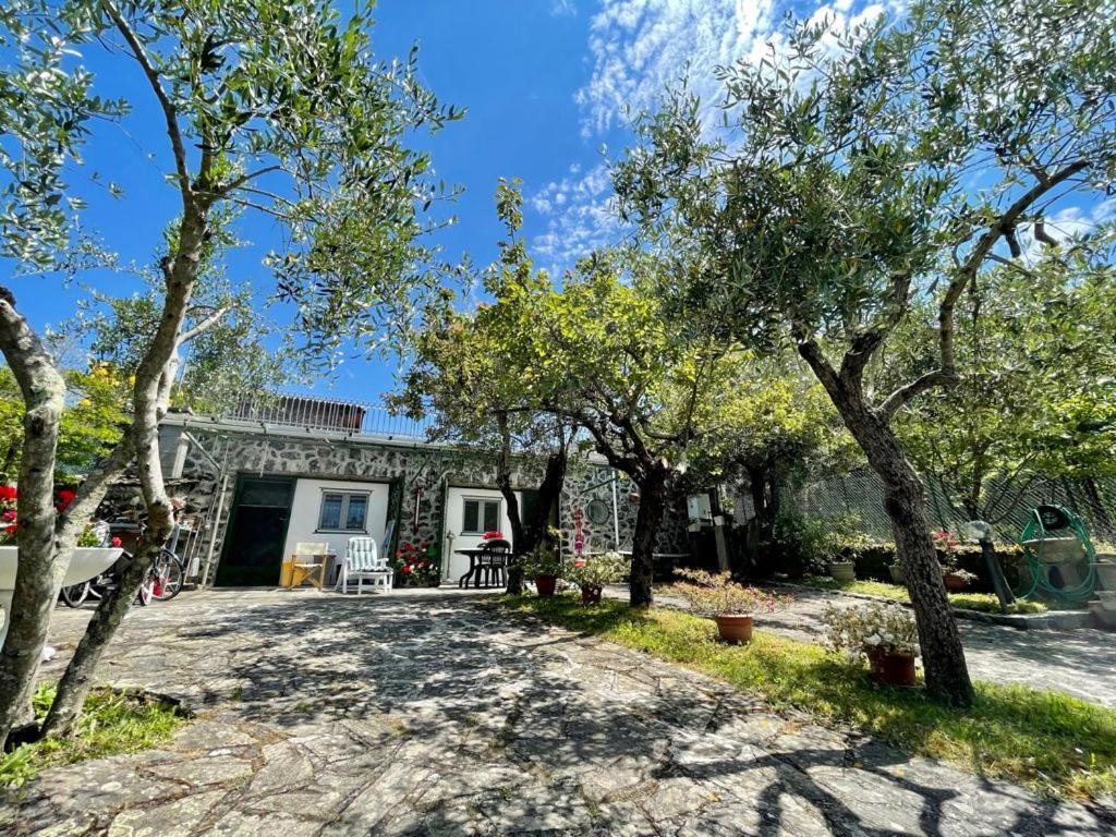 Rosy Apartment - Levanto, 5 Terre Экстерьер фото